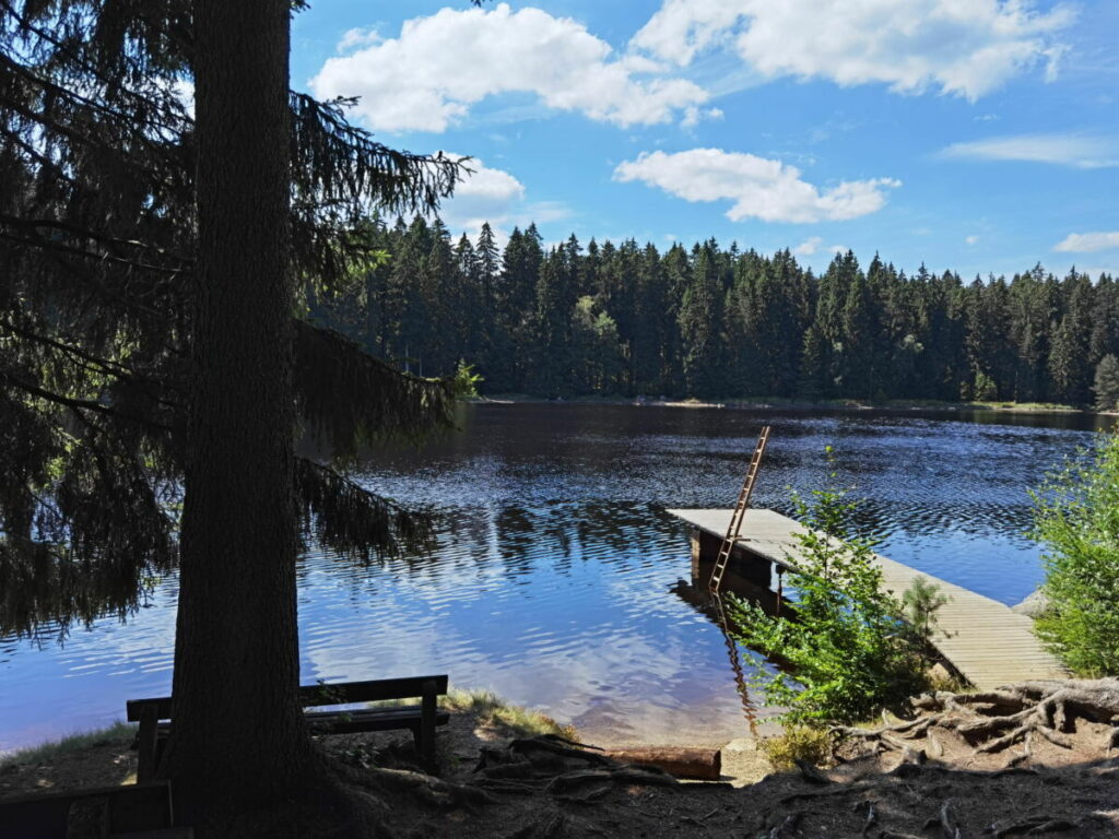 Unsere Fichtelsee Bilder von einem schönen Sommertag am See im Fichtelgebirge