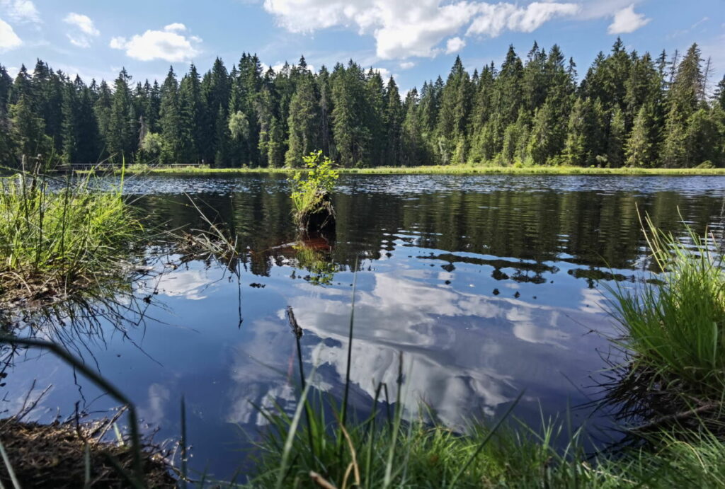 Traumhafte Wanderung im Fichtelgebirge - einmal rund um den See