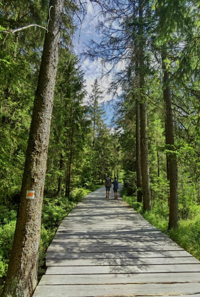 Fichtelsee Wanderung auf dem Bohlenweg