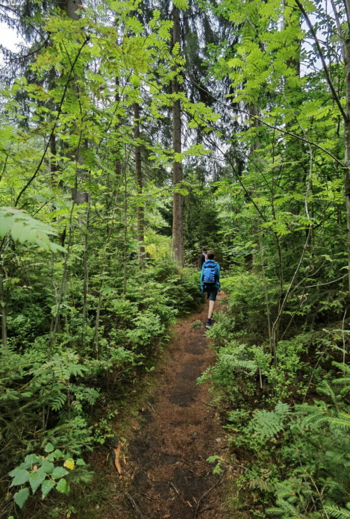 Abwechslungsreiche Prinzenfelsen Wanderung im Fichtelgebirge - durch den Wald und auf die Aussichtsfelsen