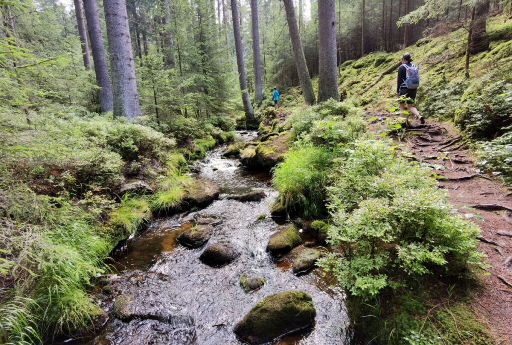 Auf den Ochsenkopf wandern: Entlang des Weißen Main