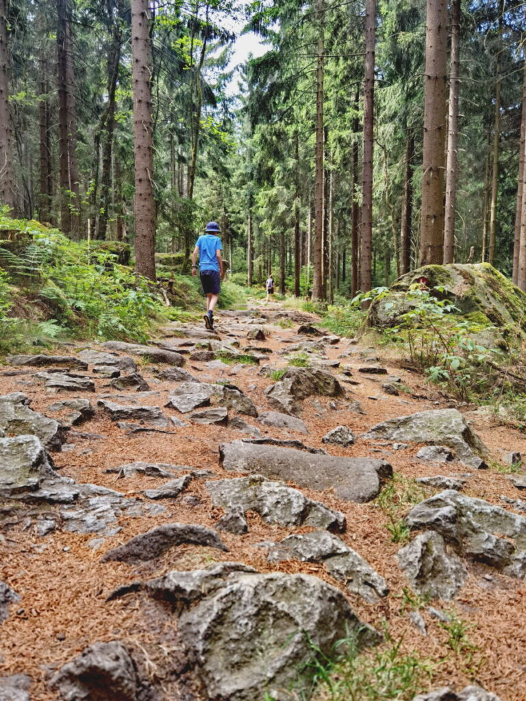 Der Weg durch den Wald führt über Granisteine