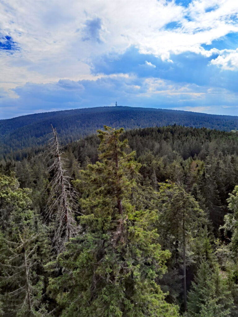 Der Rudolfstein Blick auf den Schneeberg, gut zu erkennen mit dem Turm