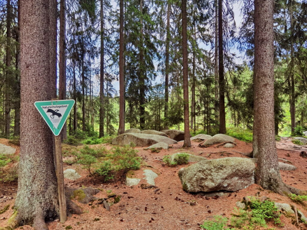 Das Gebiet rund um den See in Fichtelberg steht unter Naturschutz