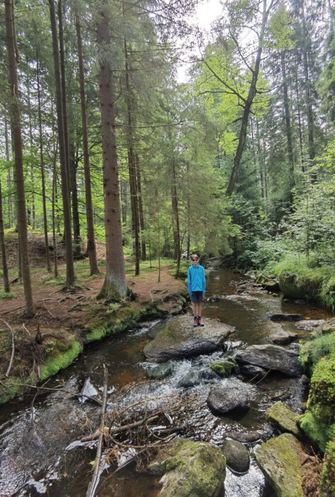 Einer der schönsten Wegabschnitte auf dem Wanderpfad zur Weißmainquelle