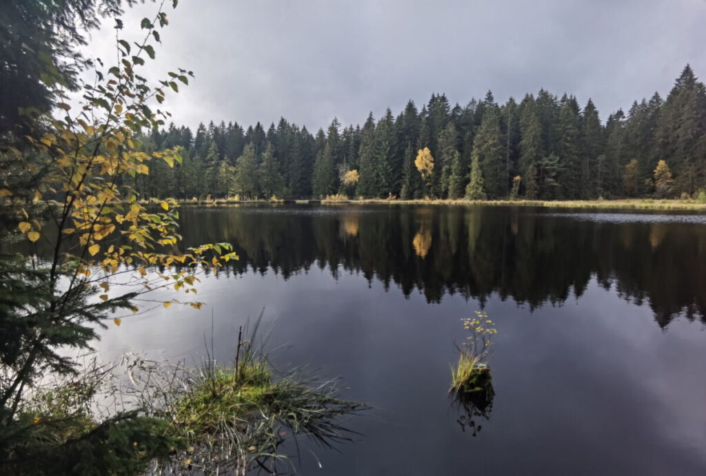 Fichtelsee Herbst: Besonders stimmungsvoll mit dem dunklen Wasser und den gelben Farbkleksen der gefärbten Laubbäume