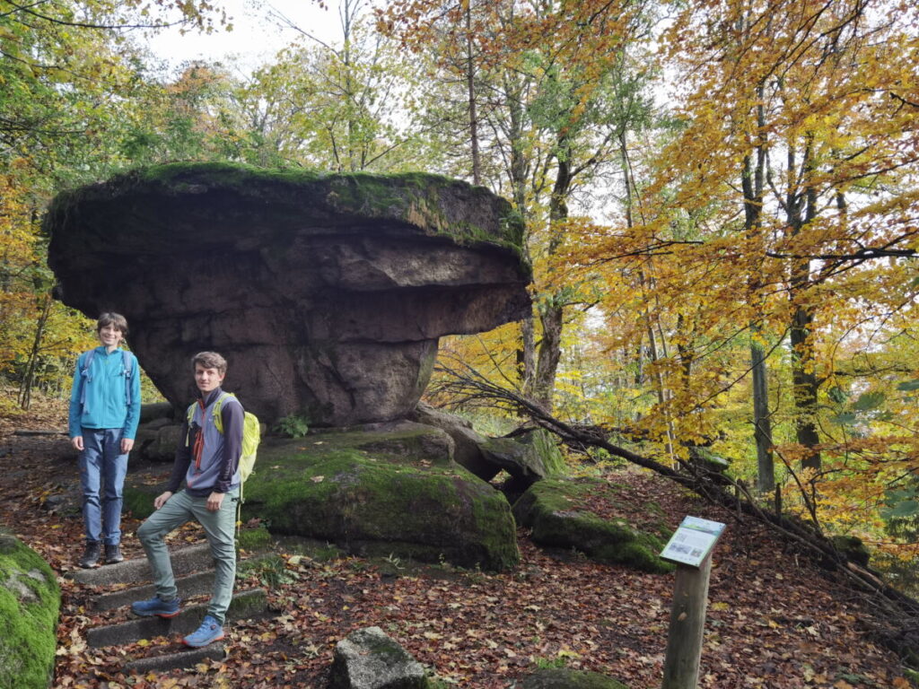 Großer Waldstein Teufelstisch - ein markanter Felsen auf dem Rundweg unterhalb der Felsenburg