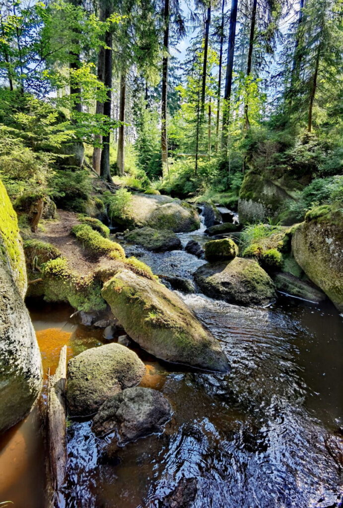 4 bekannte Flüsse entspringen im Fichtelgebirge - das Bild ist nahe der Weißmainquelle