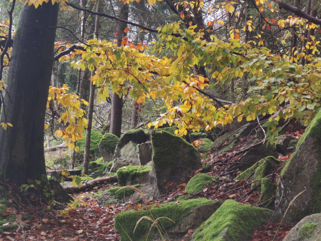 Epprechtstein Wanderung im Herbst