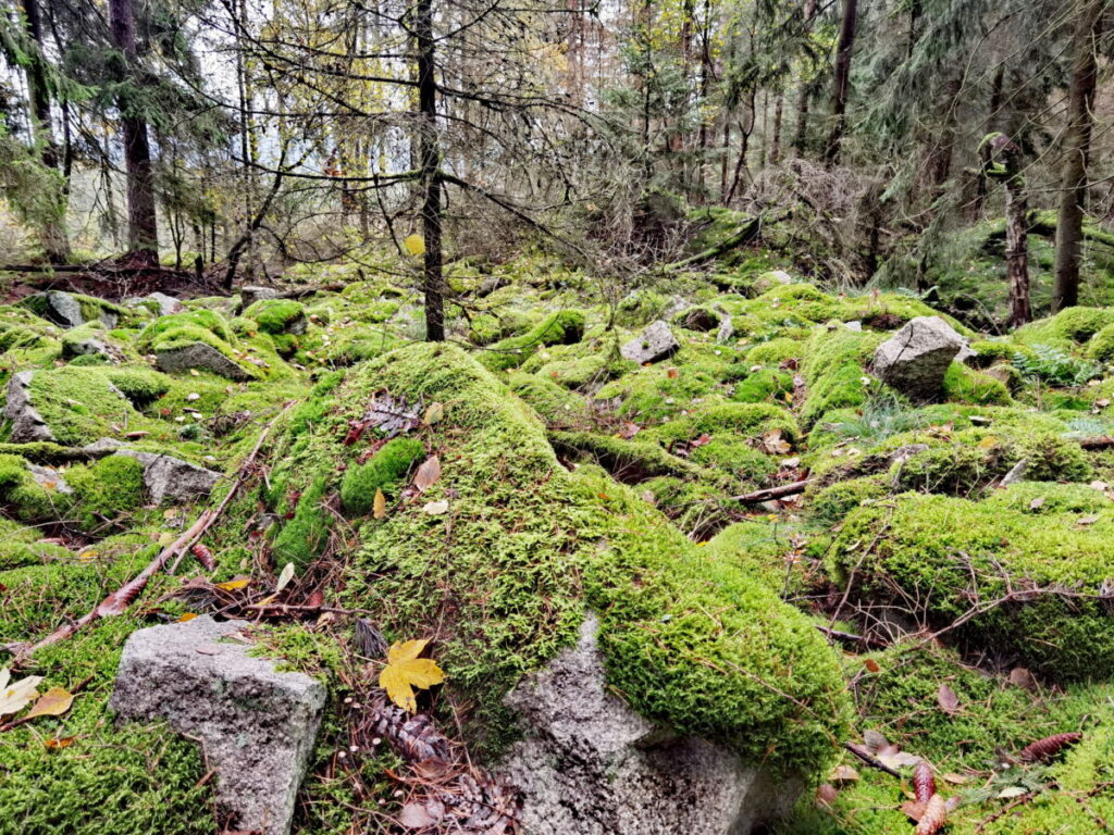 Epprechtstein Wanderung im Fichtelgebirge - vorbei an ehemaligen Steinbrüchen