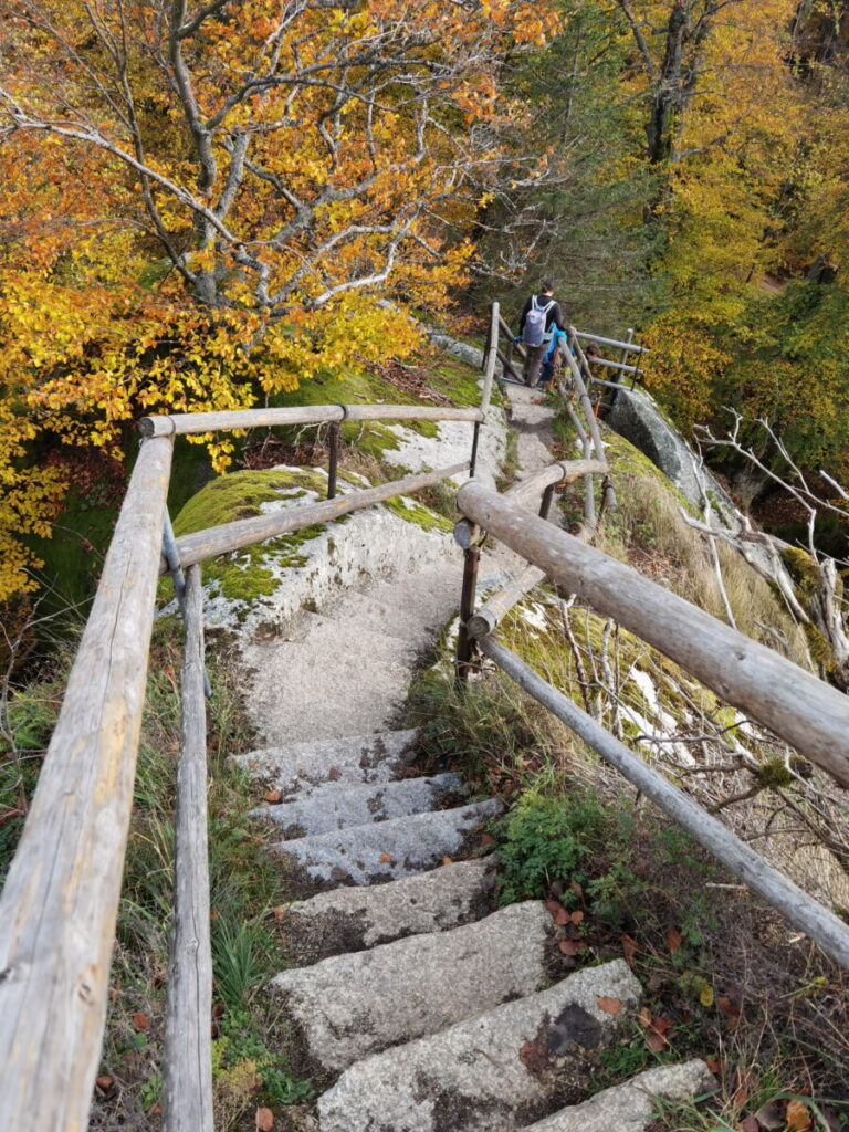 Waldstein Schüssel Aufstieg - steil über diese Stufen