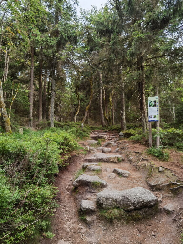 Dieser schöne Wandersteig führt vom Fichtelsee über das Seehaus auf den Nußhardt